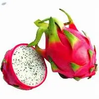 Dragon Fruit Powder