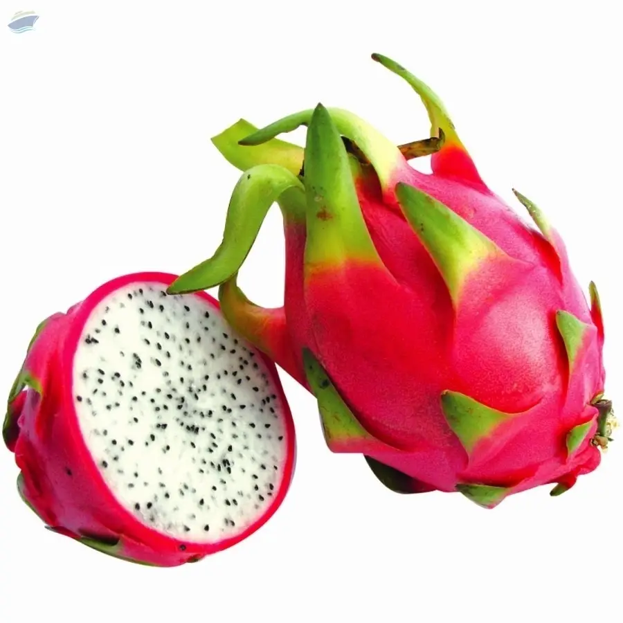 Dragon Fruit Powder