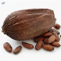 Alkalized Cocoa Powder