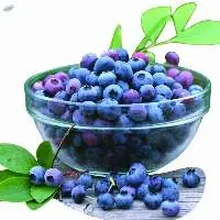 Blueberry Powder