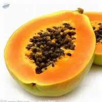 Papaya Powder