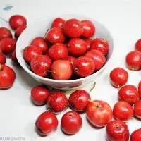 Hawthorn Powder