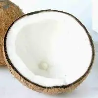 Coconut Powder