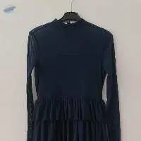 Chiffon Women's Dress
