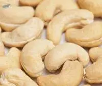 Cashew Nuts