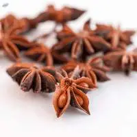 Star Anise