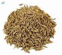 Cumin Seeds