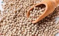 White Pepper