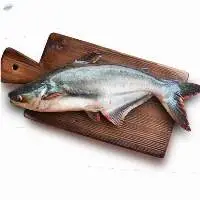 Pangasius Whole