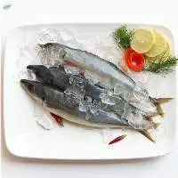 Shortfin Scad Whole