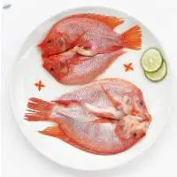 Tilapia Butterfly Fish