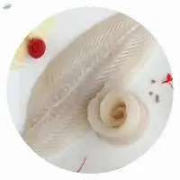 Pangsius Fillet
