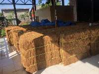 Coconut Fiber