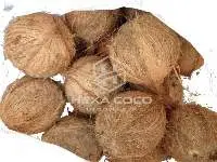 Semi Husked Coconut