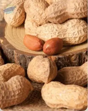 Peanut 