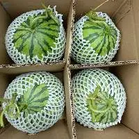 Fresh Watermelon