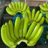 Fresh Cavendish Banana