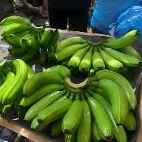 Fresh Cavendish Banana
