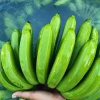 Fresh Cavendish Banana