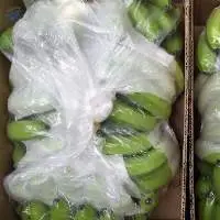 Fresh Cavendish Banana