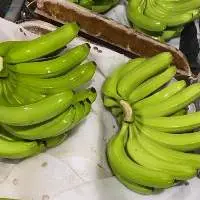 Fresh Cavendish Banana