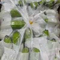 Fresh Cavendish Banana