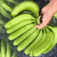 Fresh Cavendish Banana