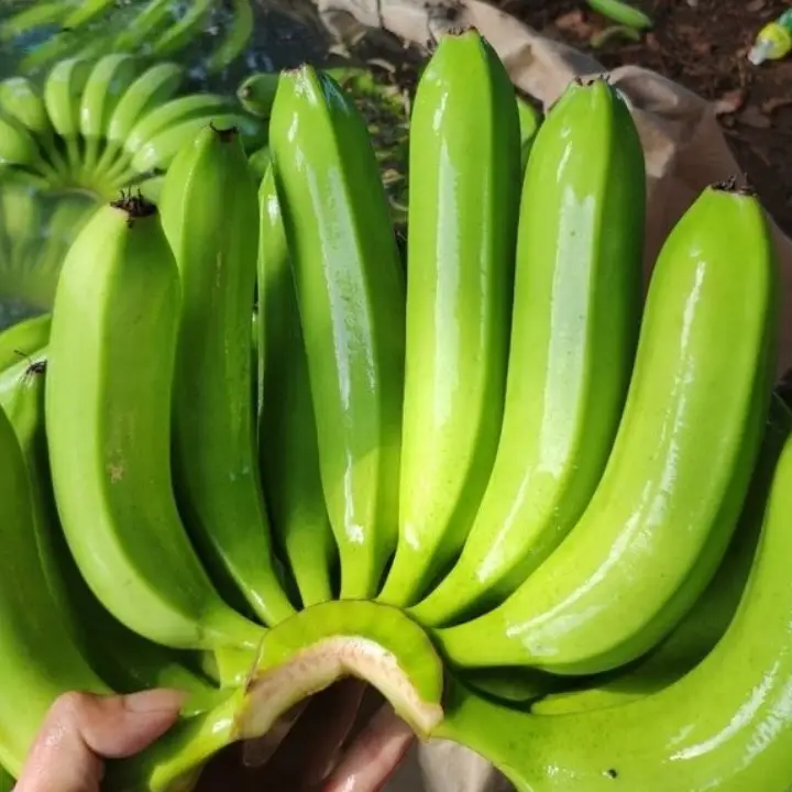 Fresh Cavendish Banana