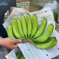 Fresh Cavendish Banana