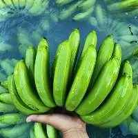 Fresh Cavendish Banana