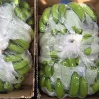 Fresh Cavendish Banana