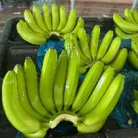 Fresh Cavendish Banana