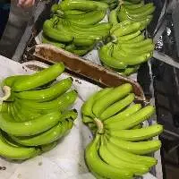 Fresh Cavendish Banana