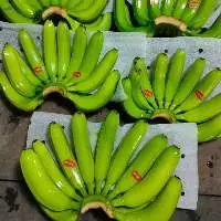Fresh Cavendish Banana