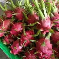 Fresh Dragon Fruit