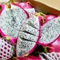 Fresh Dragon Fruit