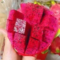 Fresh Dragon Fruit