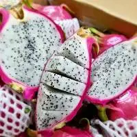 Vietnam Fresh Dragon Fruit