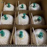 Fresh Young Coconut