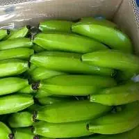 Vietnam Fresh Cavendish Banana