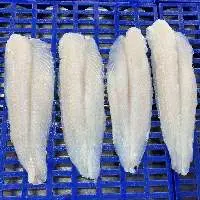 Vietnam Frozen Pangasius Fillet Welltrimmed