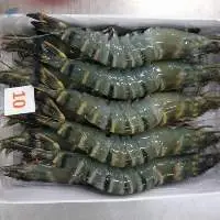 Vietnam Frozen Raw Black Tiger Shrimp