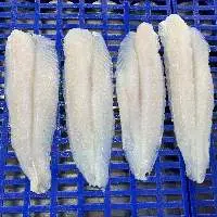 PANGASIUS FILLET