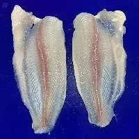 Pangasius Fillet Untrimmed