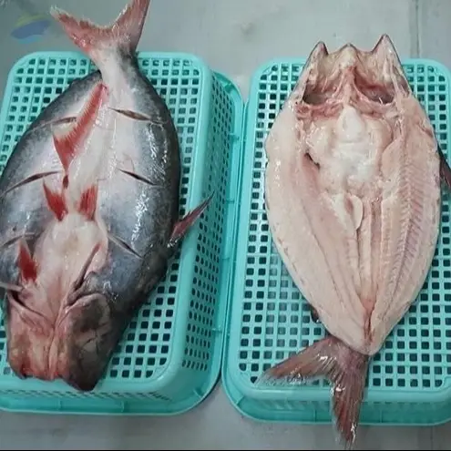 Frozen Pangasius Butterfly