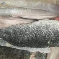Frozen Snakehead Fillet Slice Cut Skin On