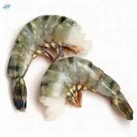 Frozen Black Tiger Shrimp