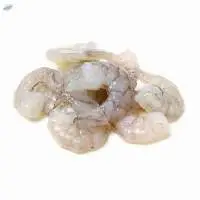 Frozen Black Tiger Shrimp
