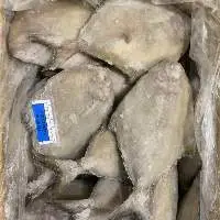 Pomfret