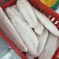 Basa Fish